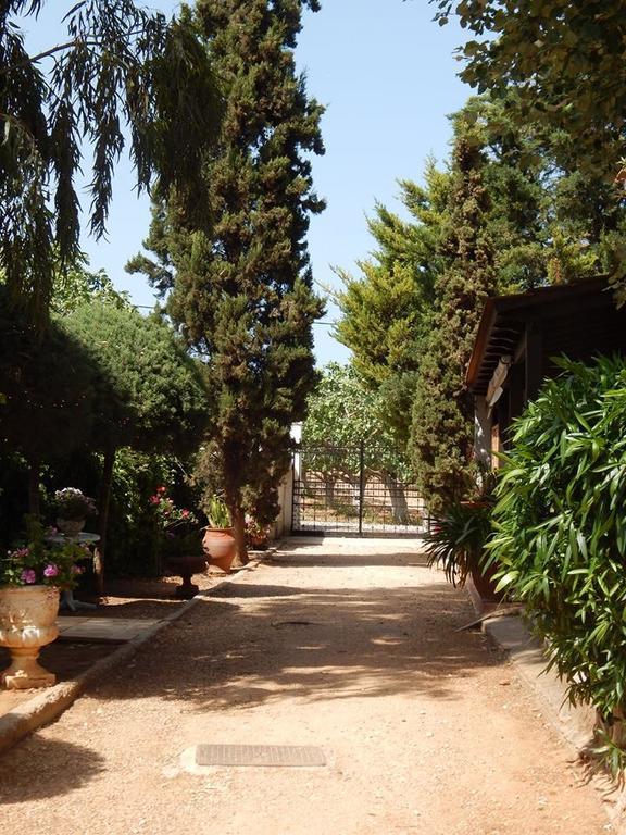 Gallery Basement In Villa Vravrona Markopoulo Mesogaias Exterior photo